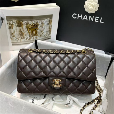 Chanel Medium Classic Flap Bag Lambskin Gold Tone Metal Dk Brown 01112