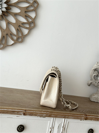 Chanel Medium Classic Flap Bag Iridescent Grained Calfskin Gold Tone Metal Lt Beige 01112