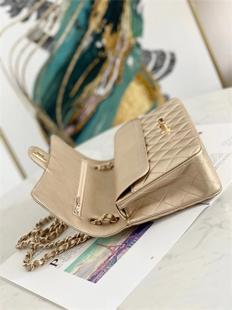 Chanel Medium Classic Flap Bag Iridescent  Lambskin Gold Tone Metal Champagne Gold 01112