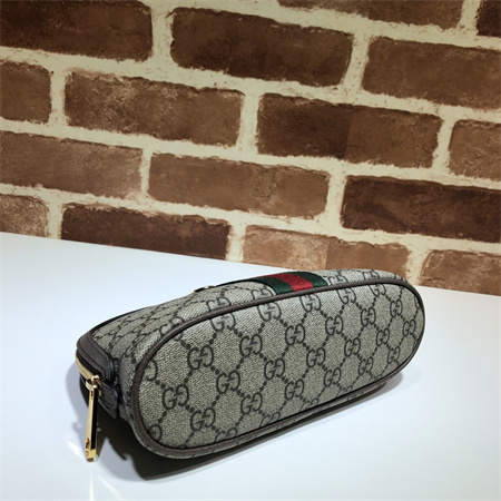 Gu.cci Ophidia Large cosmetic case GG Supreme canvas 625551