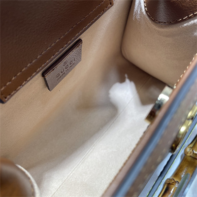 Gu.cci Diana Mini Tote Bag Brown Leather 655661