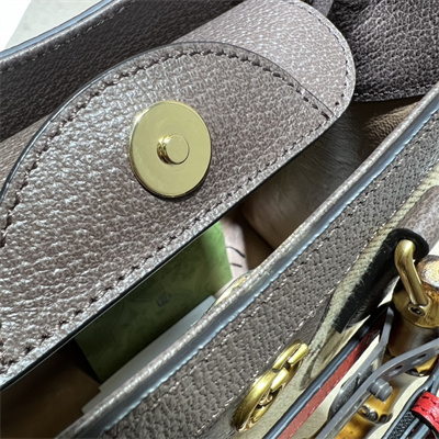 Gu.cci Diana Jumbo GG Canvas Small Tote Bag 660195