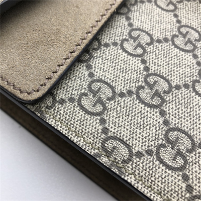 Gu.cci Dionysus Small Rectangular Bag 499623