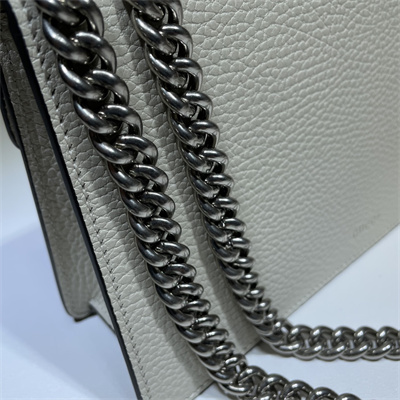 Gu.cci Dionysus Small Rectangular Bag White Leather 499623