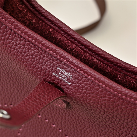 Evelyne III TPM Mini Bag In Burgundy(options)