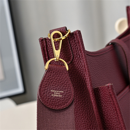 Evelyne III PM  Bag In Burgundy(options)