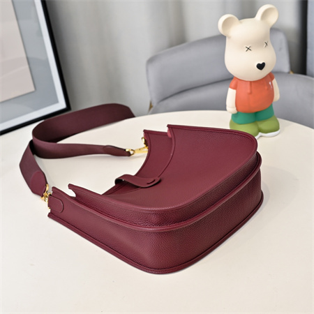 Evelyne III PM  Bag In Burgundy(options)