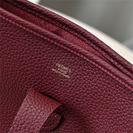 Evelyne III PM  Bag In Burgundy(options)
