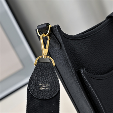 Evelyne III PM  Bag In Black(options)