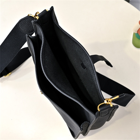 Evelyne III PM  Bag In Black(options)