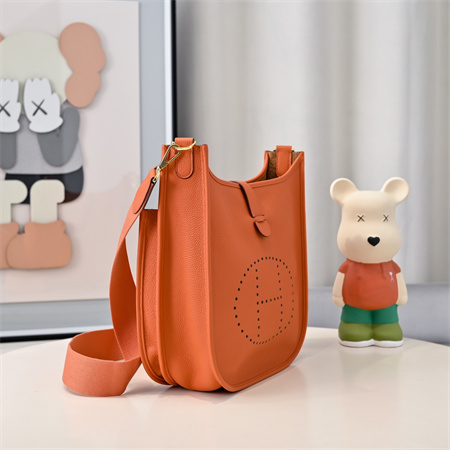 Evelyne III PM  Bag In Orange(options)