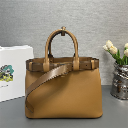 Prada Buckle medium leather handbag with double belt Brown 1BA417