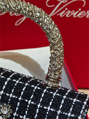 Roger Vivier Jewel Efflorescence Mini Bag In Tweed Black