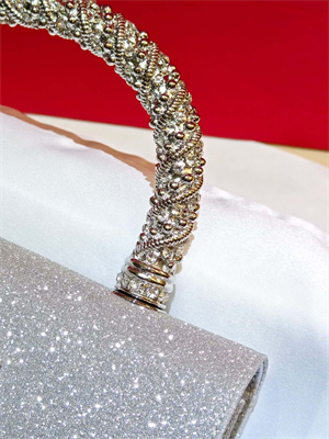 Roger Vivier Jewel Efflorescence Mini Bag in glitter Silver