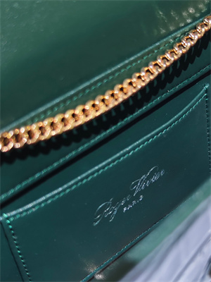 Roger Vivier Jewel Efflorescence Mini Bag In Leather Green