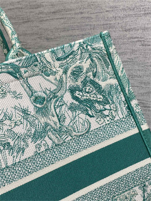 CD Large Book Tote Black Toile de Jouy Embroidery Green