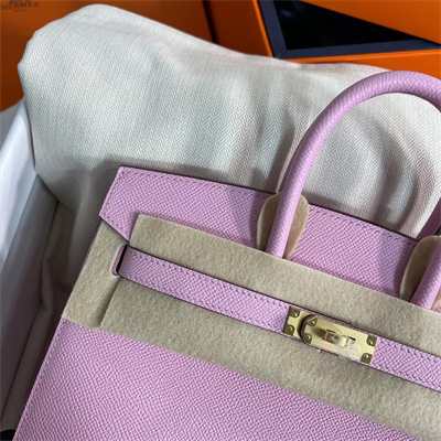 Bir.kin Sellier Bag Epsom Leather 25/30/35CM Gold Hardware In Mauve Sylvestre Color HS