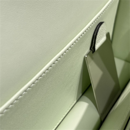 Constance Elan Epsom Leather  Gold/Silver Tone Hardware Vert Fizz Color HS(With Mirror)