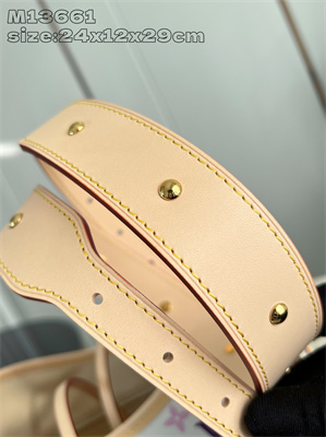 LV x TM CarryAll PM Multicolor Monogram Canvas M13661