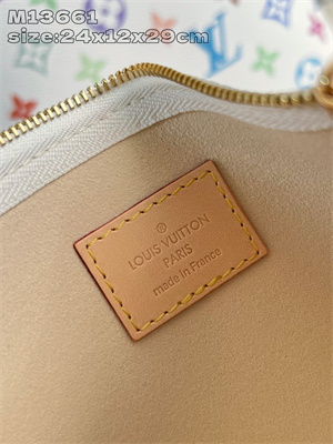 LV x TM CarryAll PM Multicolor Monogram Canvas M13661