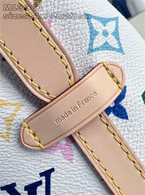 LV x TM CarryAll PM Multicolor Monogram Canvas M13661