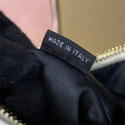 MiuMiu Wander matelassé nappa leather Small hobo bag White Color