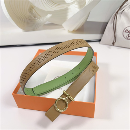 Hermes Reversible Belt 25MM Smooth Calfskin Leather Gold Tone Hardware Brown/Green