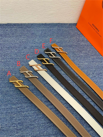 Hermes Reversible Belt 25MM Epsom Leather Gold/Silver Tone Hardware Colors Options