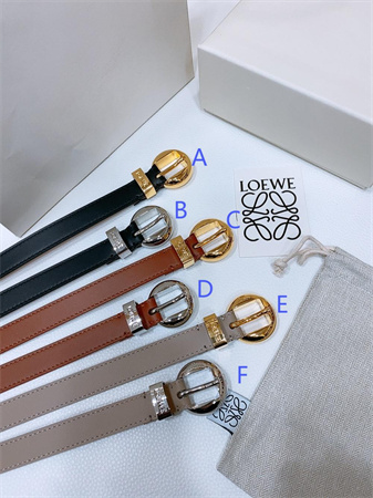 Loewe Belt In Smooth Calfskin 20MM Gold/Silver Hardware Colors Options