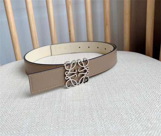 Loewe Belt In Smooth Calfskin 28MM Gold/Silver Hardware Colors Options