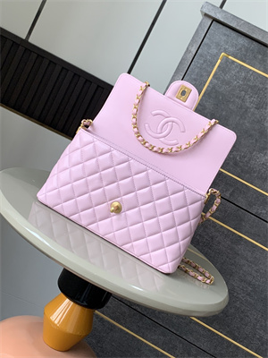 CHANEL Flap Bag With Top Handle Lambskin Gold Tone Metal Pink AS5356