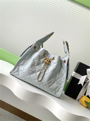 Chanel 25 Small Handbag Grained Calfskin Gold Tone Metal Blue AS5293