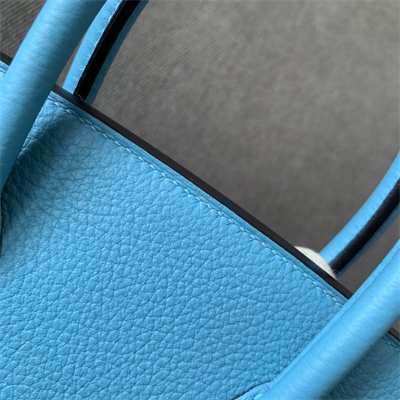 Bir.kin Bag Togo Leather 25/30/35 Gold/Silver Hardware In Blue du Nord Color HS