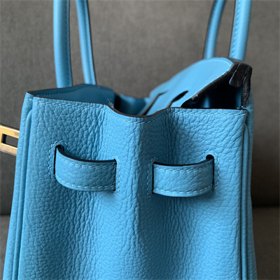 Bir.kin Bag Togo Leather 25/30/35 Gold/Silver Hardware In Blue du Nord Color HS