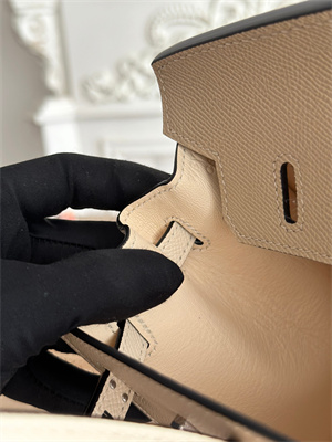 Bir.kin Sellier Bag Epsom Leather 25CM Gold/Silver Hardware In Trench/Craie HS