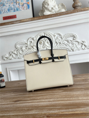 Bir.kin Sellier Bag Epsom Leather 25CM Gold/Silver Hardware In Craie/Black HS