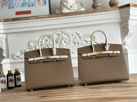 Bir.kin Sellier Bag Epsom Leather 25CM Gold/Silver Hardware In Etoupe/Craie HS
