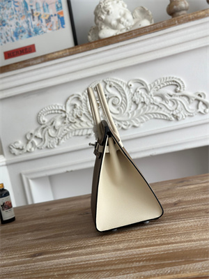 Bir.kin Sellier Bag Epsom Leather 25CM Gold/Silver Hardware In Etoupe/Craie HS