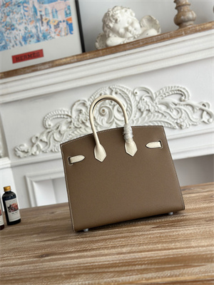 Bir.kin Sellier Bag Epsom Leather 25CM Gold/Silver Hardware In Etoupe/Craie HS