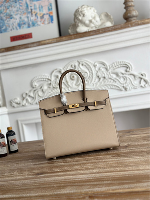 Bir.kin Sellier Bag Epsom Leather 25CM Gold/Silver Hardware In Trench/Etoupe HS