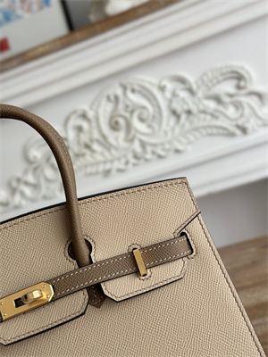 Bir.kin Sellier Bag Epsom Leather 25CM Gold/Silver Hardware In Trench/Etoupe HS