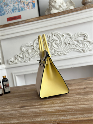 Bir.kin Sellier Bag Epsom Leather 25CM Gold/Silver Hardware In Craie/Jaune Poussin HS