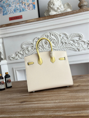 Bir.kin Sellier Bag Epsom Leather 25CM Gold/Silver Hardware In Craie/Jaune Poussin HS