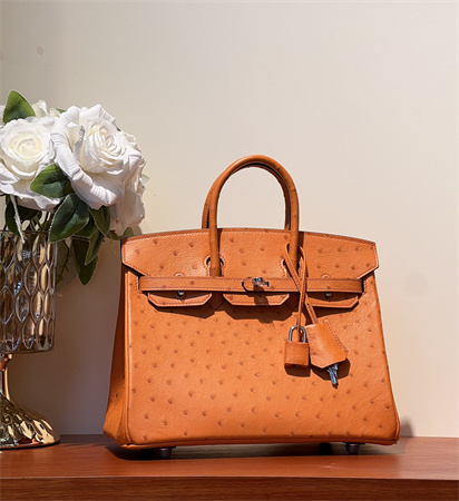 Bir.kin Bag Ostrich Leather 25 Gold/Silver Hardware In Orange HS