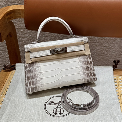 Kelly Mini II Himalayan Bag Niloticus Silver Tone Hardware HS