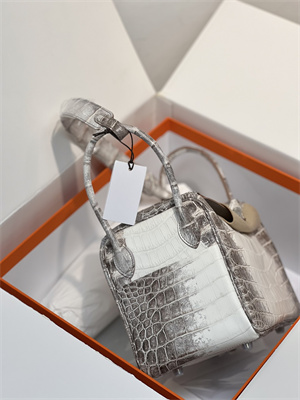 Lindy Himalayan Bag 26 Niloticus Silver Tone Metal HS