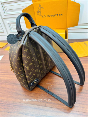 L.V Palm Spring MM Backpack Monogram Coated Canvas M44874 TOP