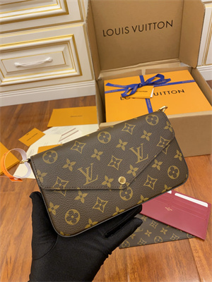 L.V Felicie Pochette Monogram Canvas M61276 TOP