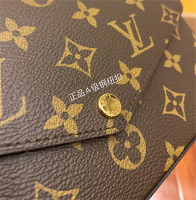 L.V Felicie Pochette Monogram Canvas M61276 TOP