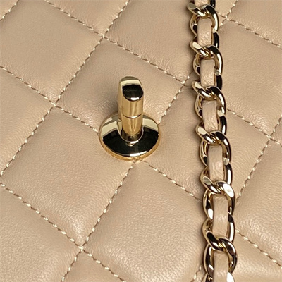 Chanel FLAP PHONE HOLDER WITH CHAIN Lambskin Gold-Tone Metal Beige AP4592